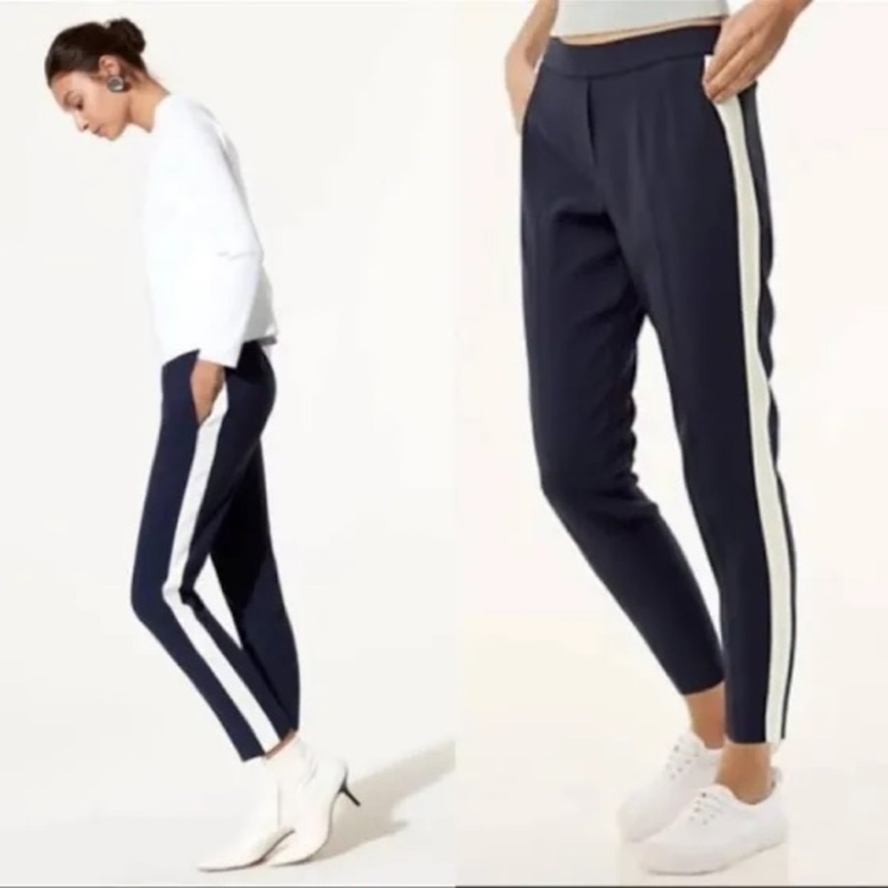 Aritzia Babaton Conan Pants